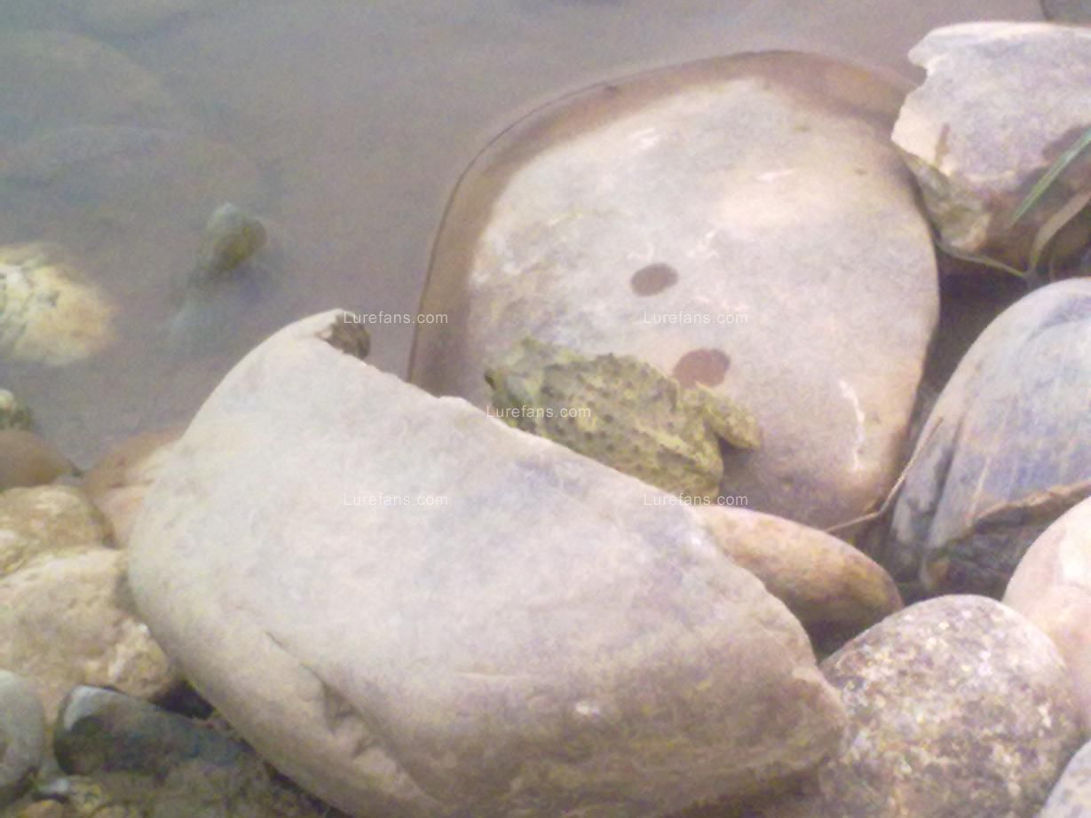 201105141029.jpg