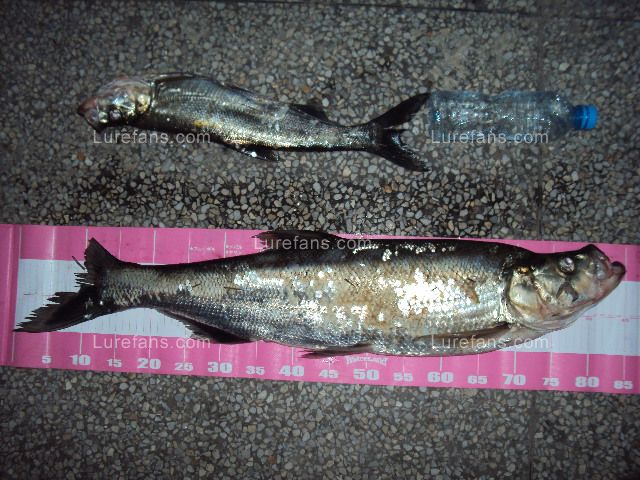 DSC04322.JPG