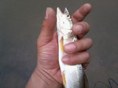 2011-05-15 09.17.31.jpg