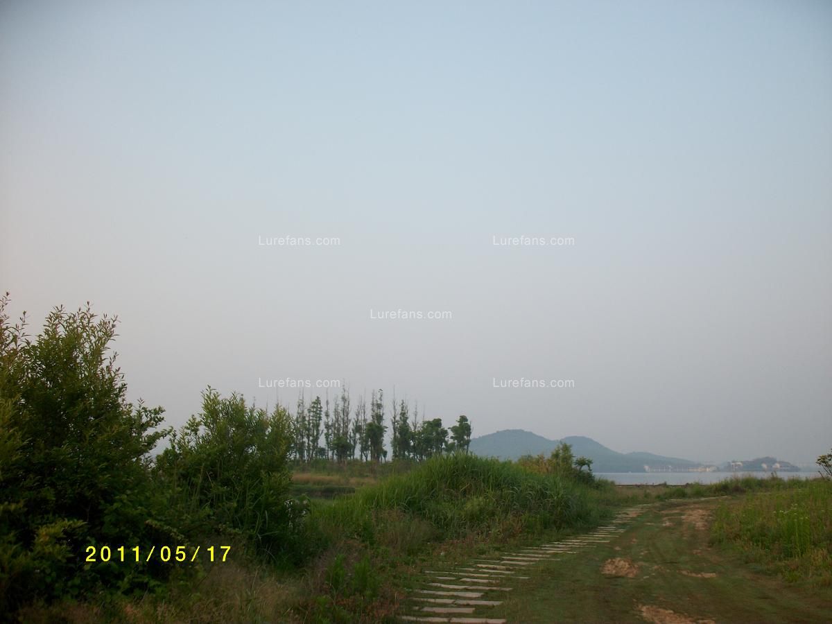 ALIM0083.JPG