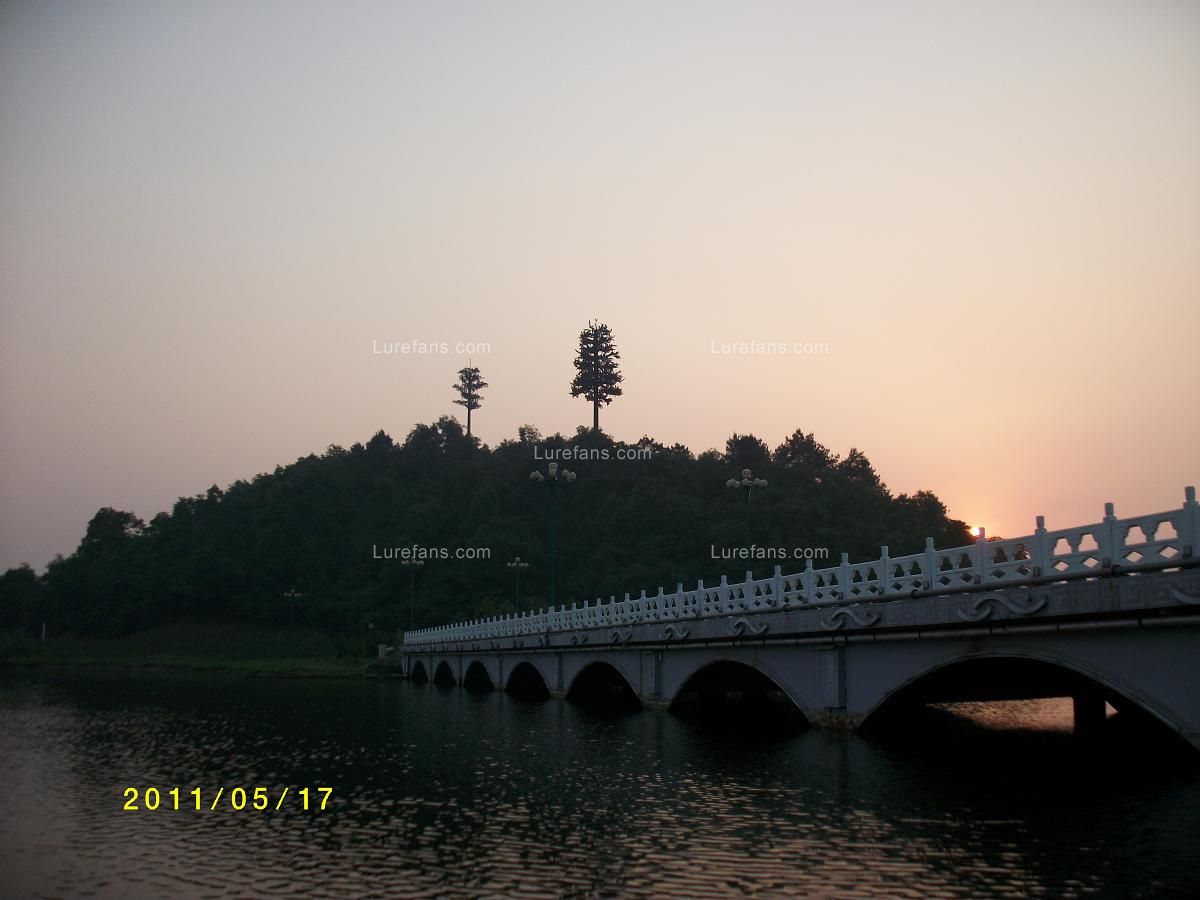 ALIM0080.JPG
