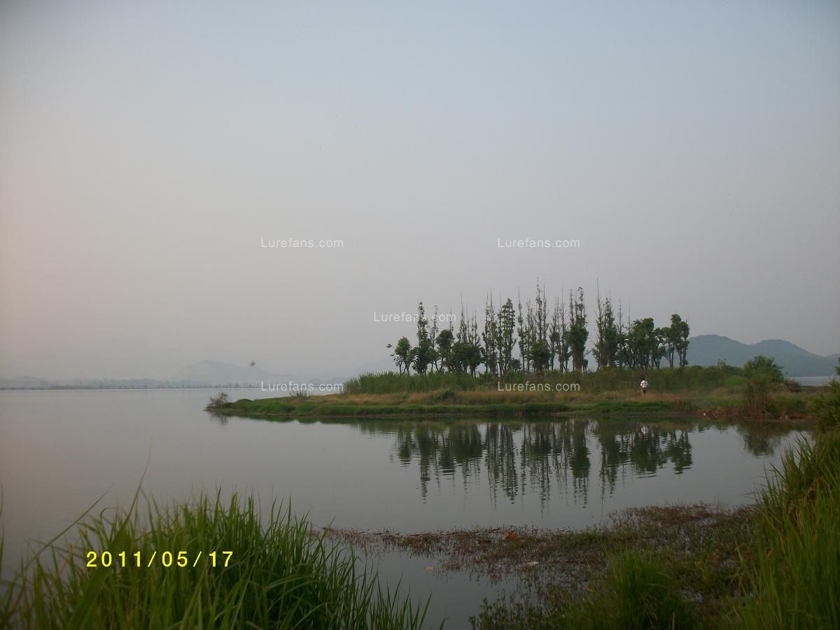 ALIM0088.JPG