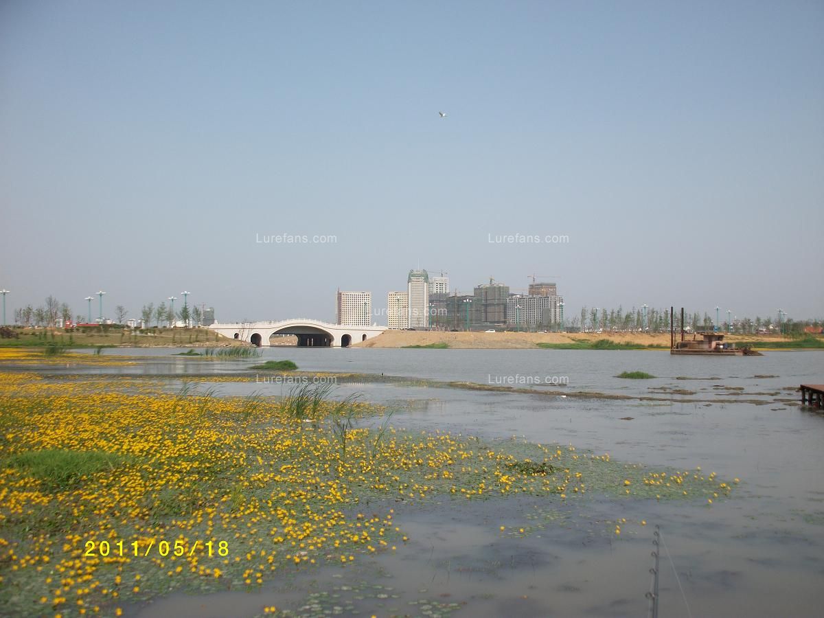 ALIM0121.JPG