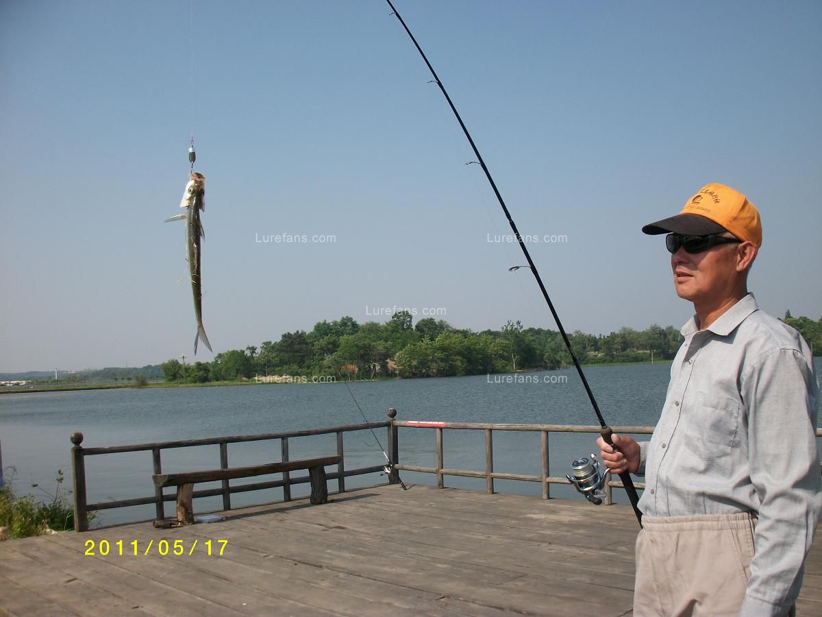 ALIM0093.JPG