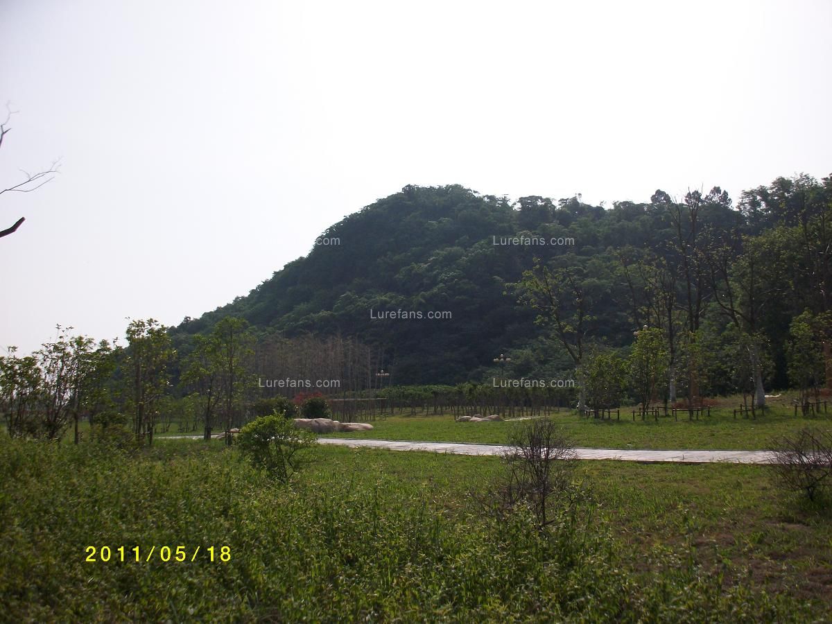 ALIM0117.JPG