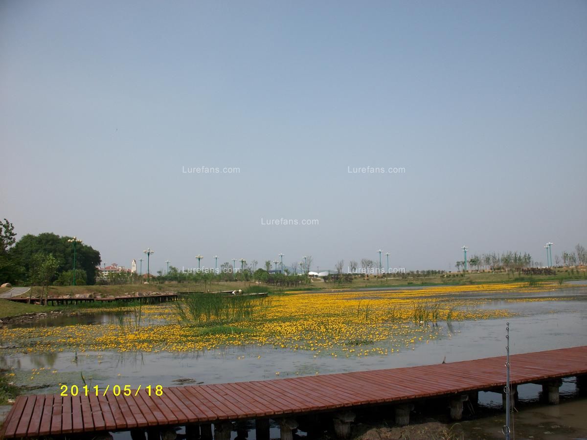 ALIM0119.JPG