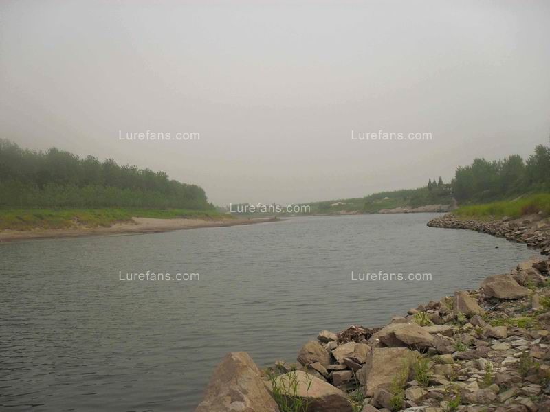 С SDC11396.jpg