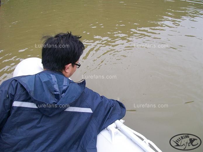 0914427tasss7thhcs12gr.jpg