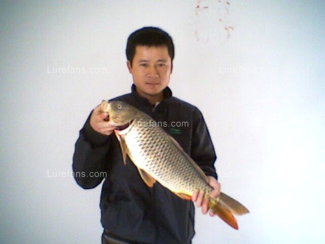 IMG0029A.jpg