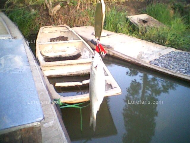 IMG0034A.jpg