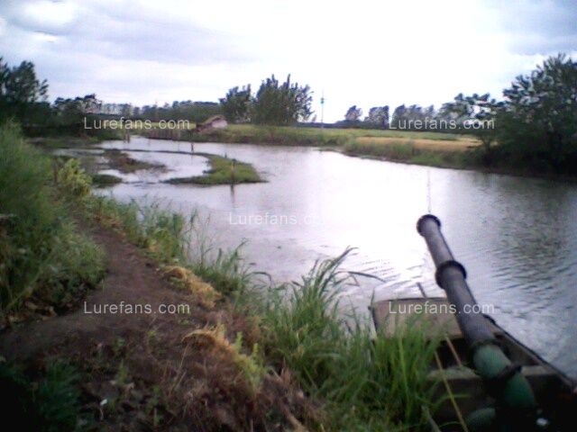 IMG0033A.jpg