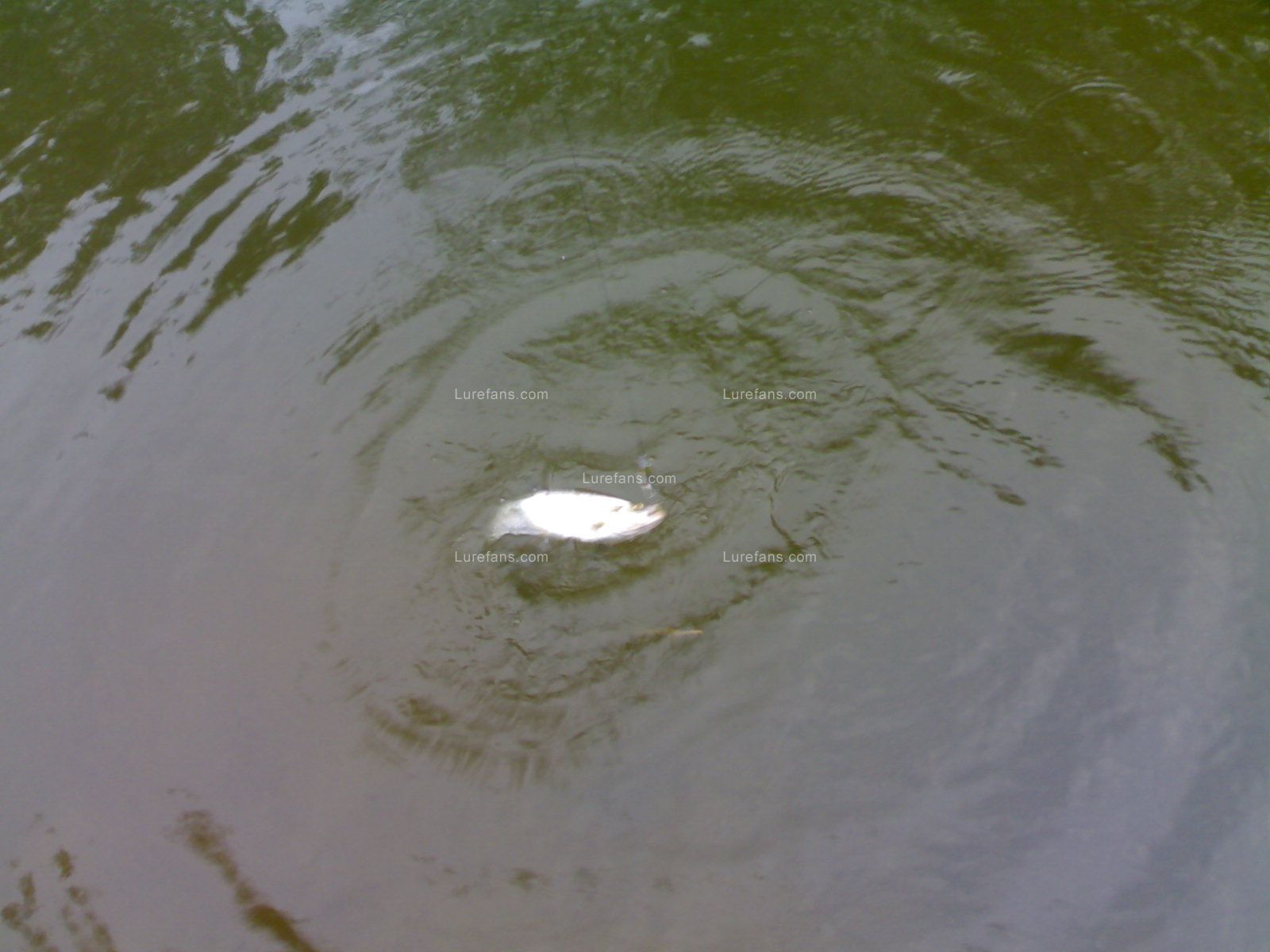 20110525606.jpg