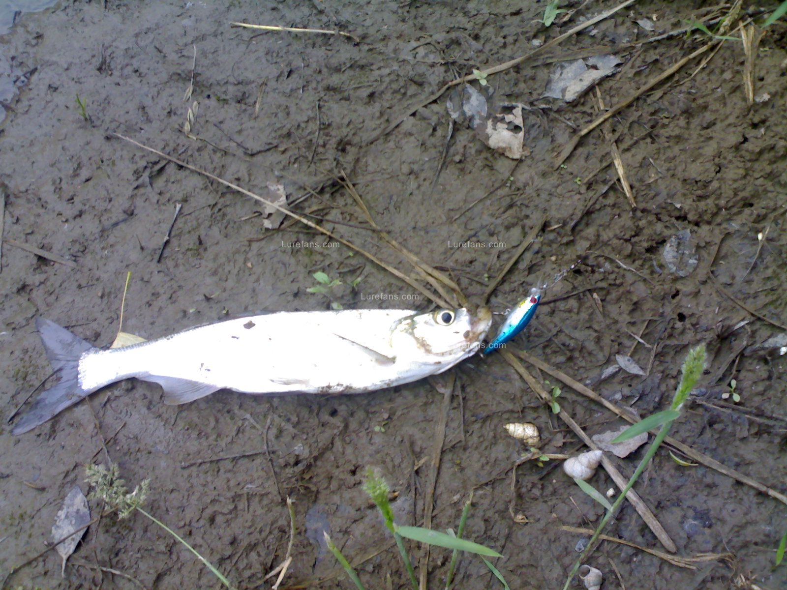 20110525605.jpg