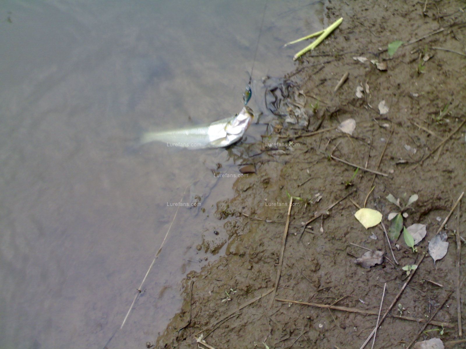 20110525607.jpg
