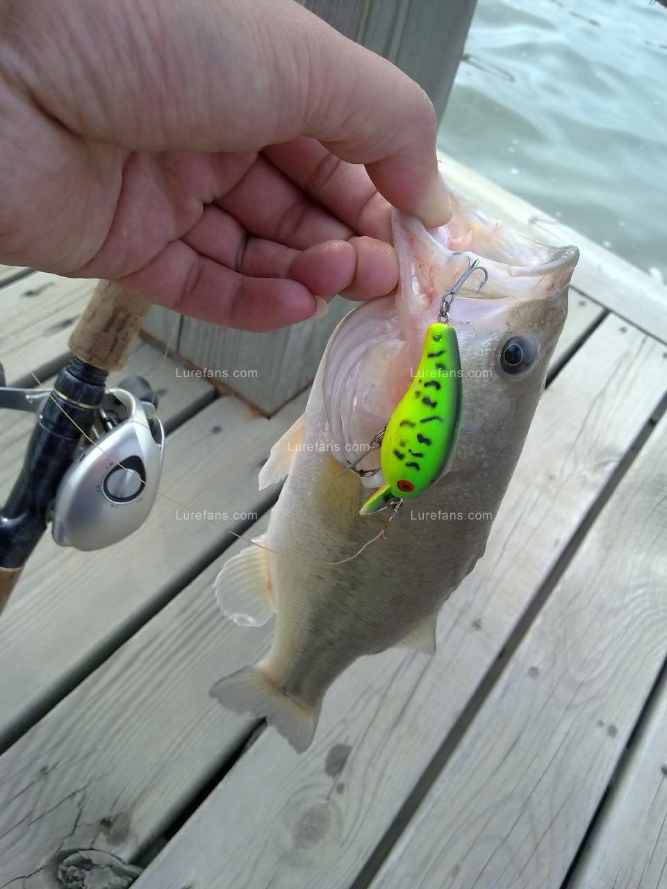 20110526171.jpg