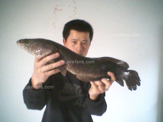 IMG0036A.jpg