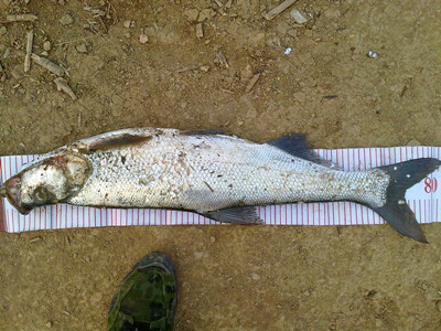20110528036_.jpg