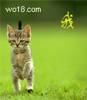 20090322194952702[1].gif