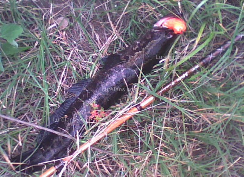 20110603163452.jpg