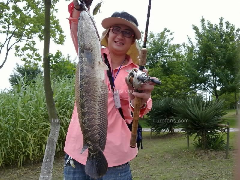 20110527179.jpg