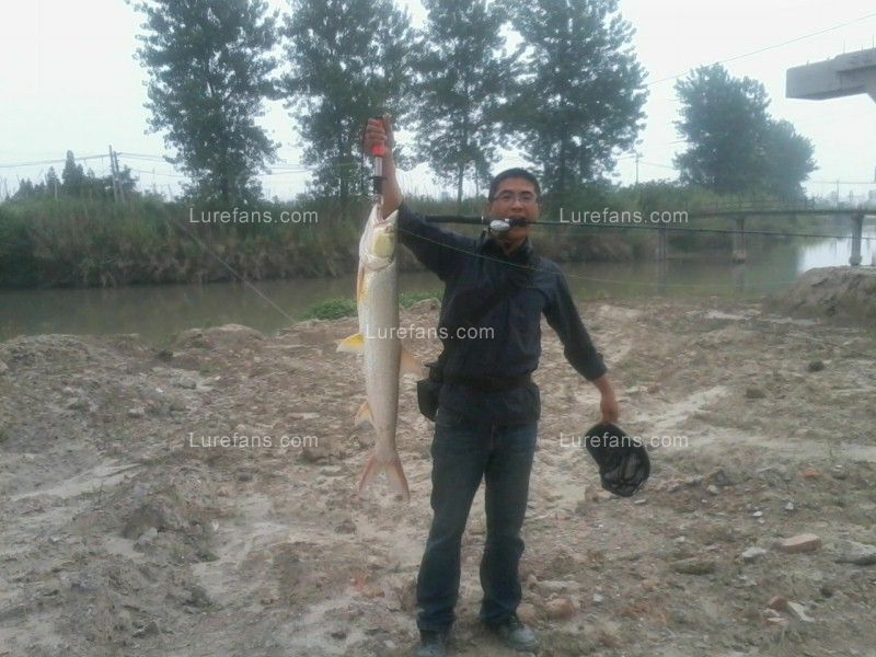 Ƭ016.jpg
