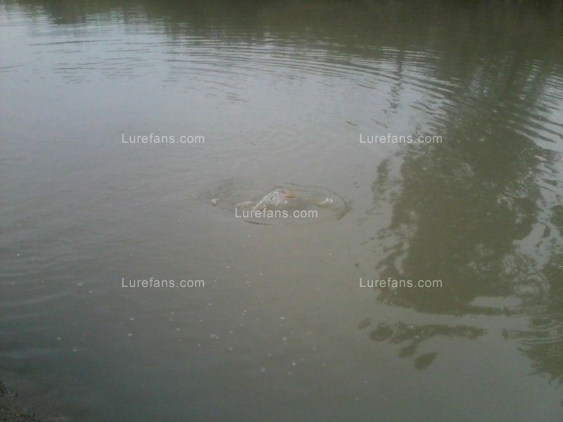 Ƭ019.jpg