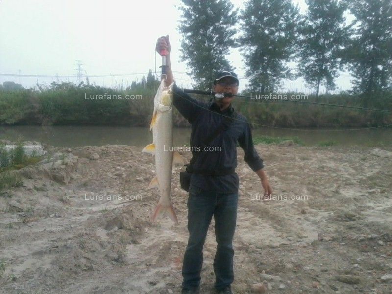Ƭ01 5.jpg