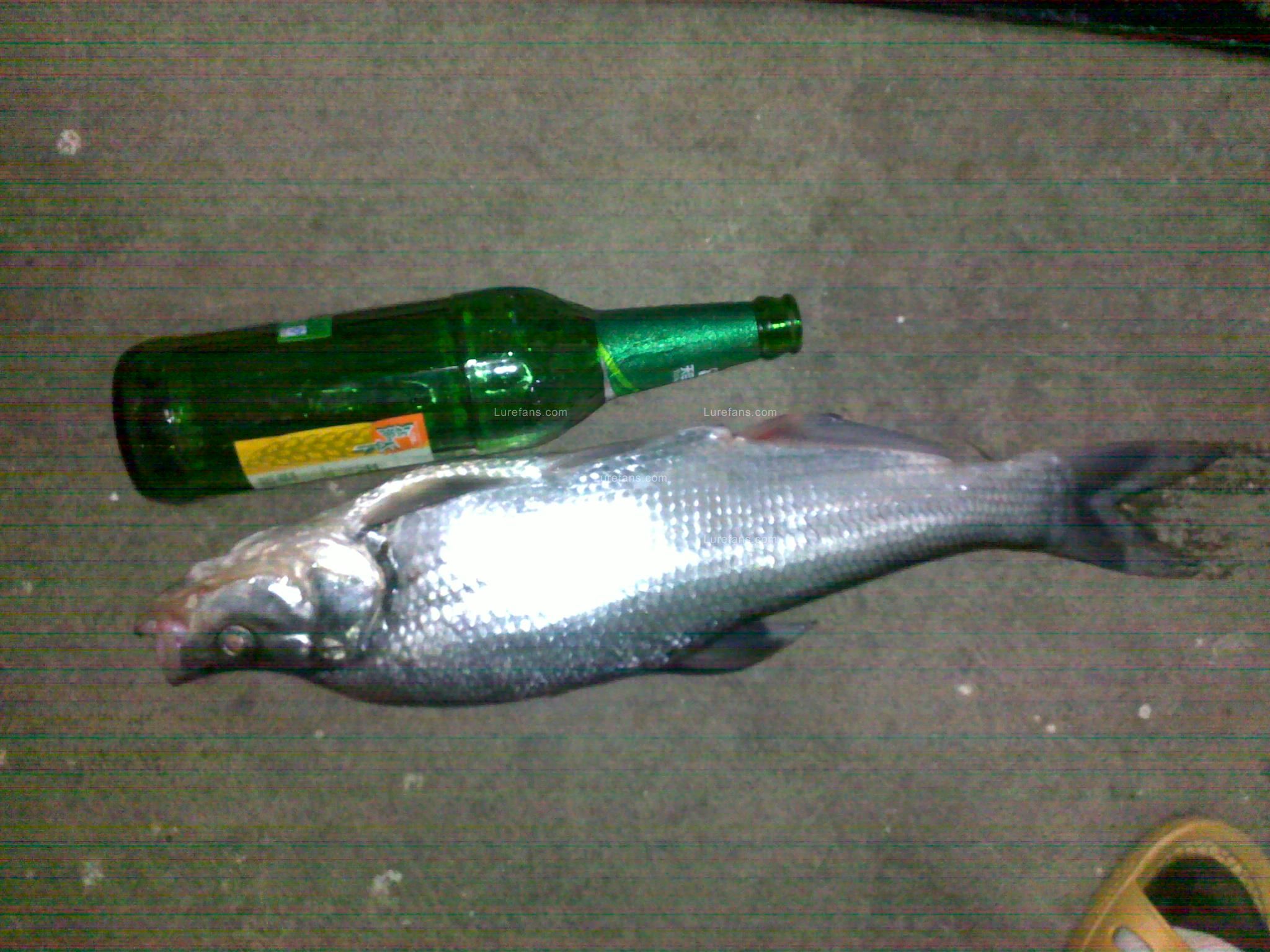 20110606352.jpg