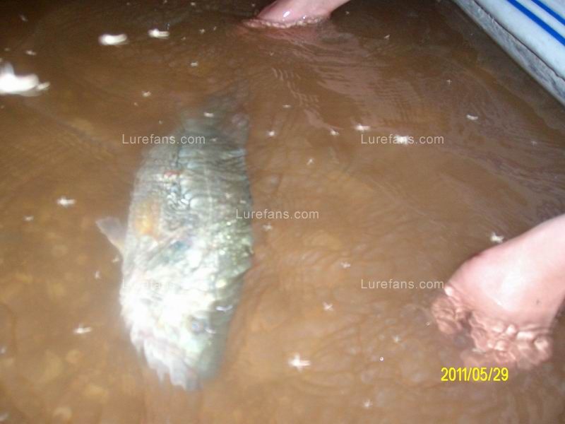 SANY1450.JPG