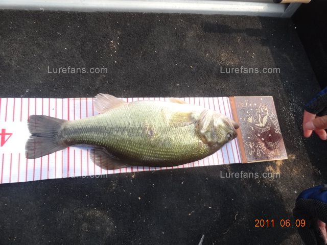 DSC01176.JPG