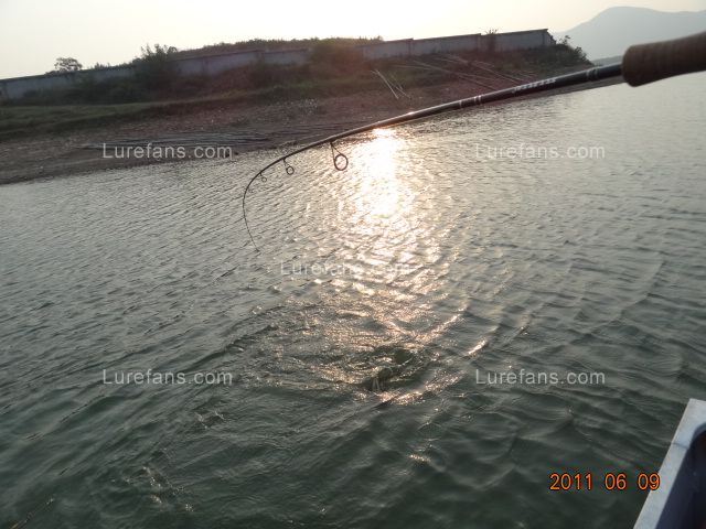 DSC01208.JPG