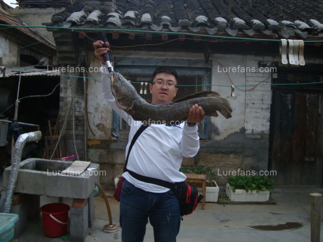 DSC01978.JPG