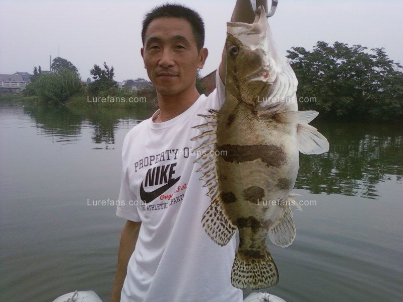 Ƭ-0194.jpg