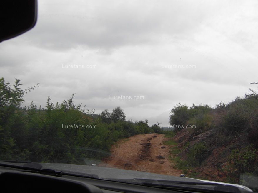 SDC11328.JPG