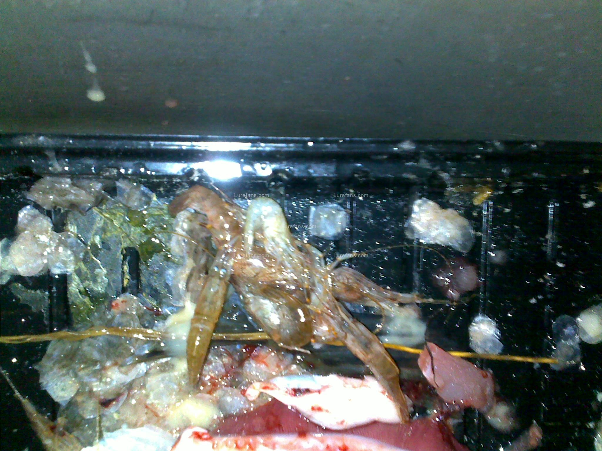 201106231171.jpg