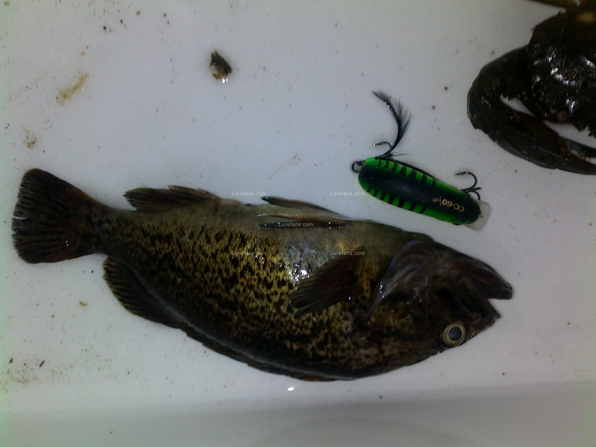 201106281225.jpg