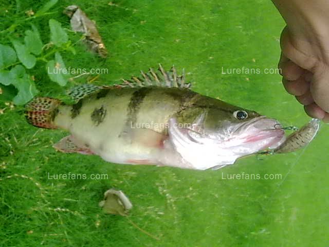 Ƭ 048.jpg