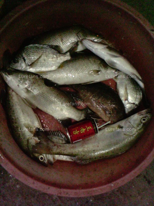image20110701_192516.jpg