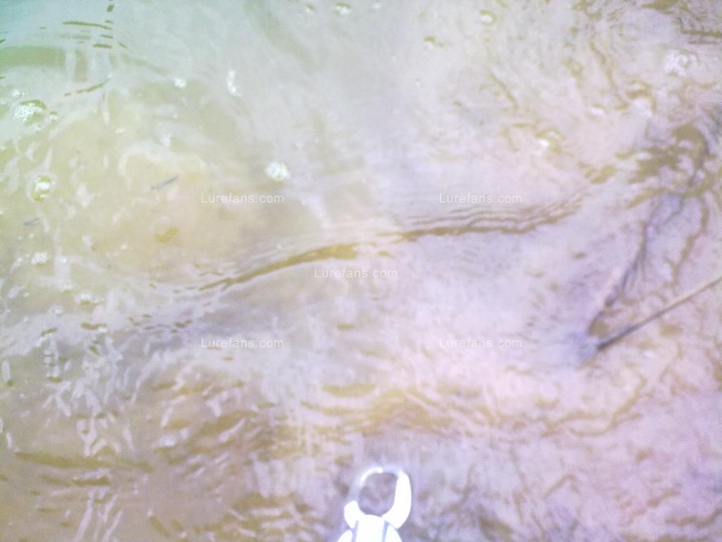 201107031216.jpg