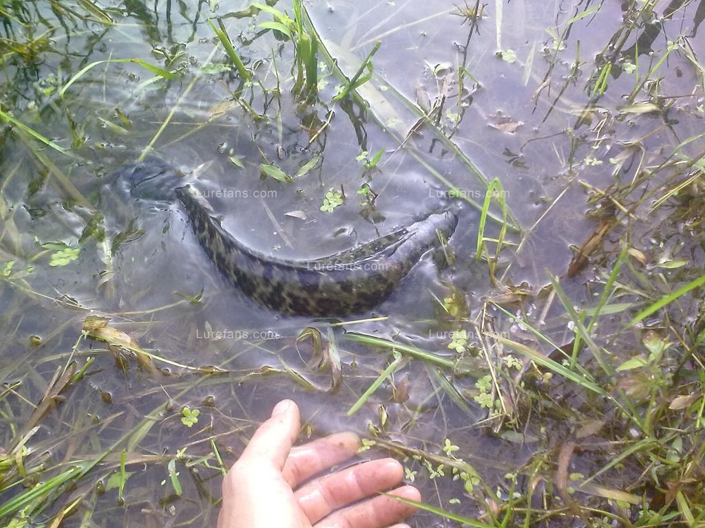 201107051242.jpg
