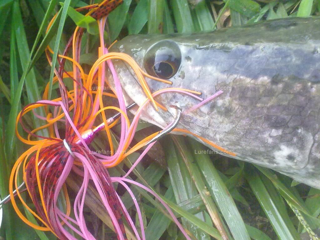 201107051233.jpg