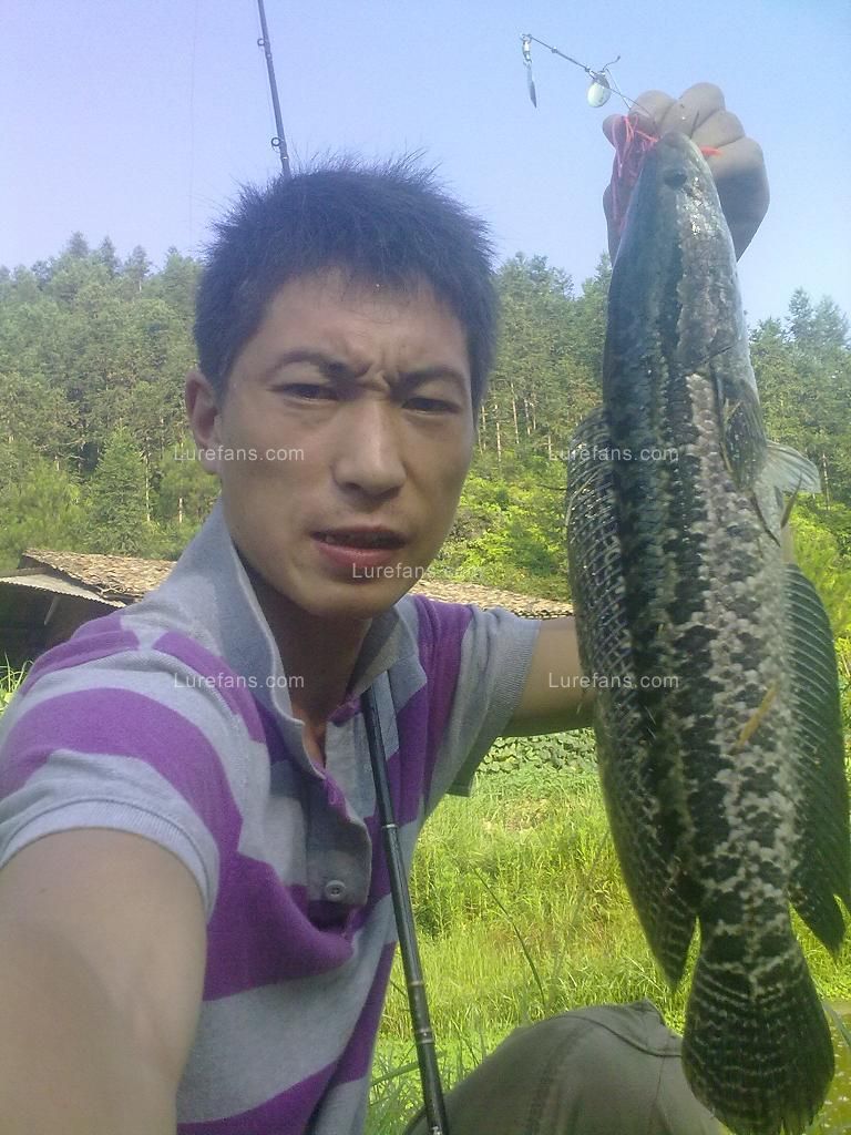 201107051249.jpg