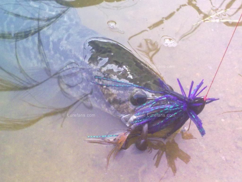 201107051236.jpg