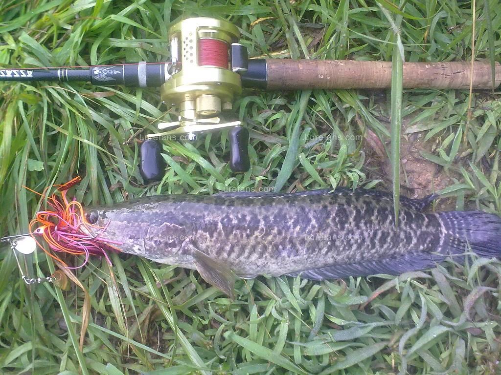 201107051231.jpg
