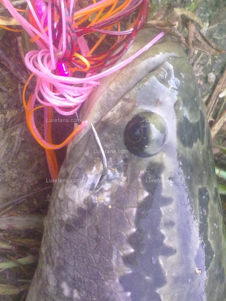 201107051247.jpg