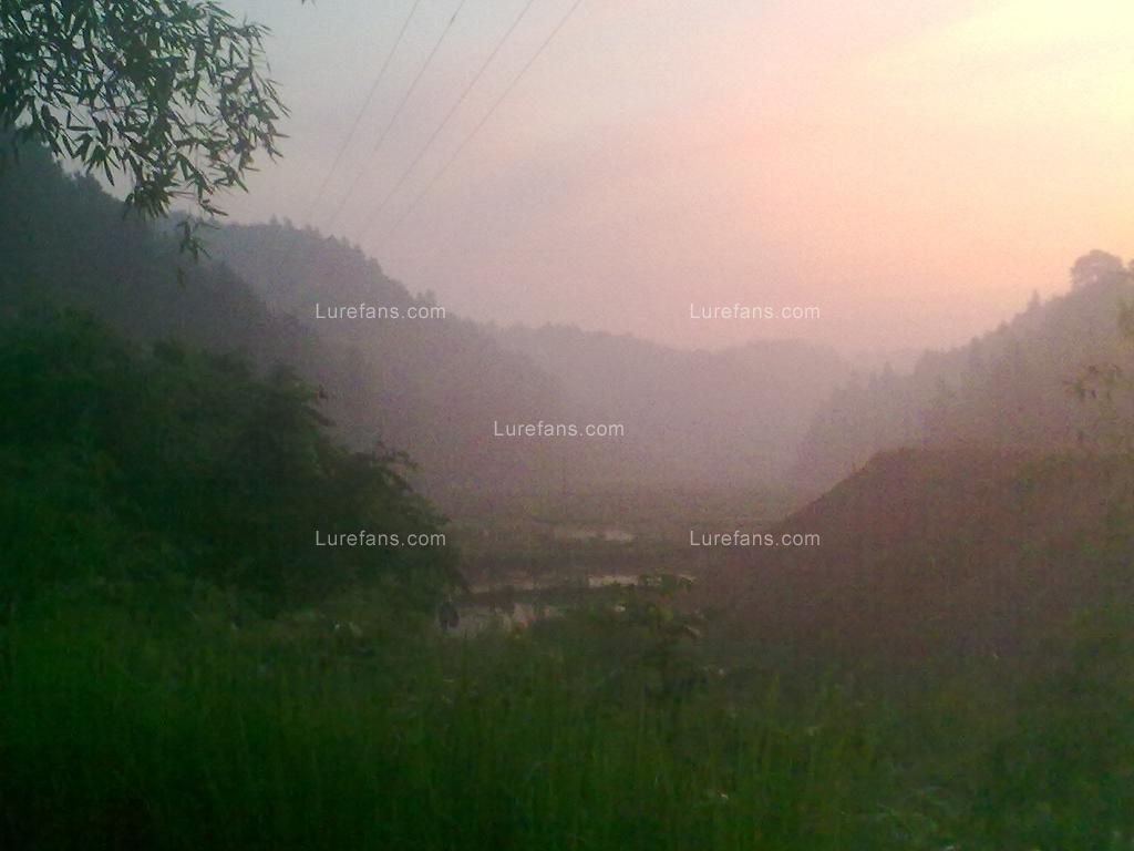 201107051226.jpg