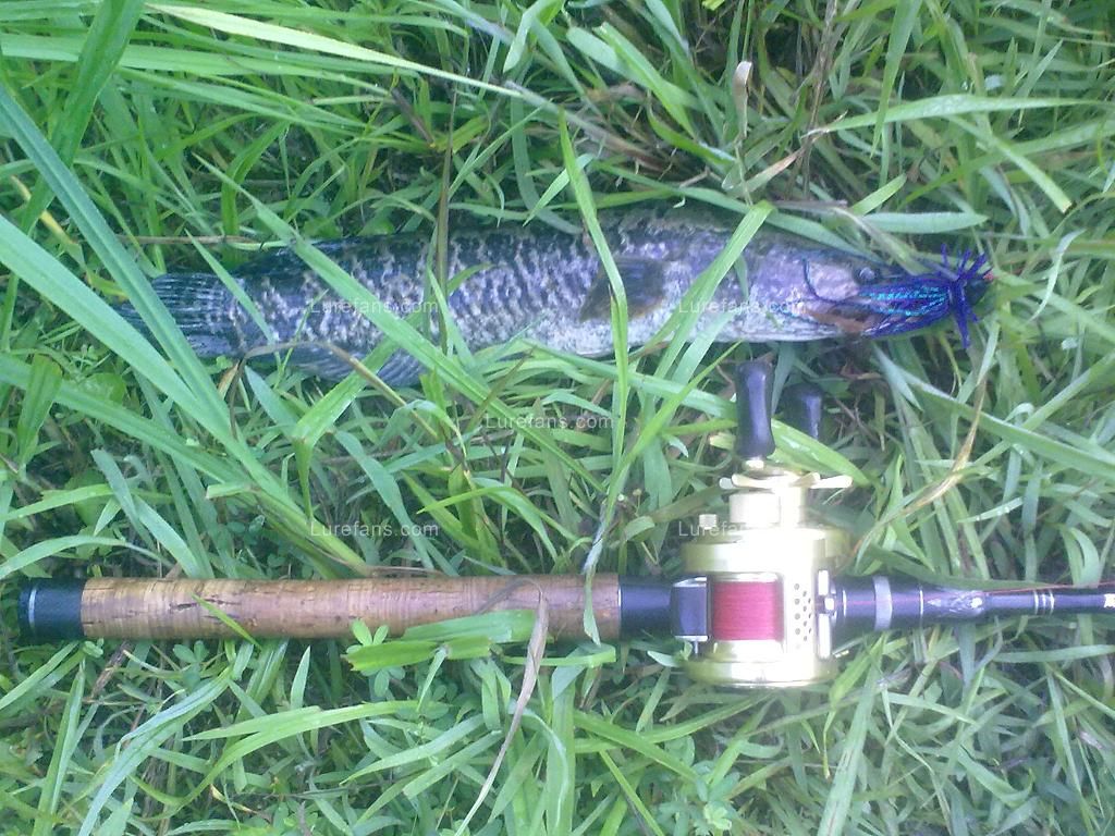 201107051239.jpg