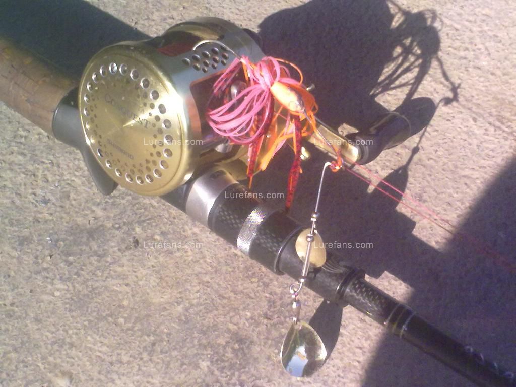 201107051254.jpg
