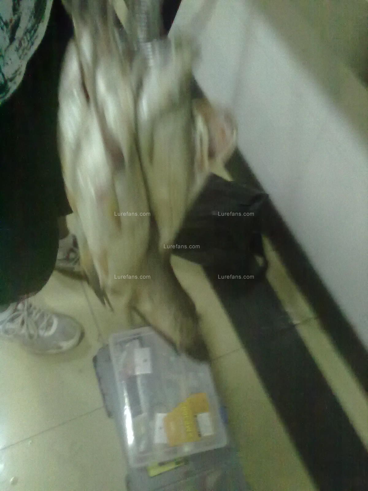 201107061005.jpg