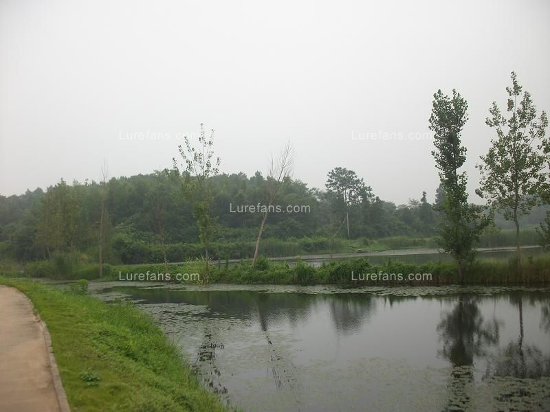 ALIM0341.JPG